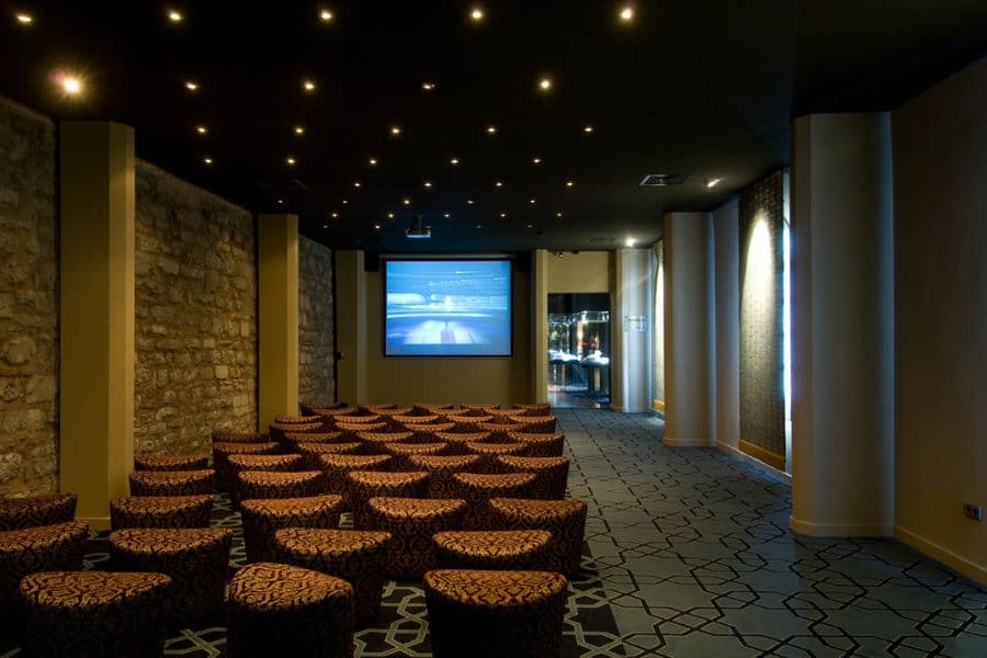 Cinevision Screening Room