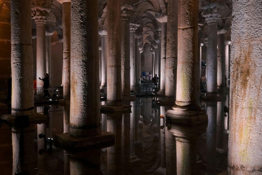 Forest of Columns
