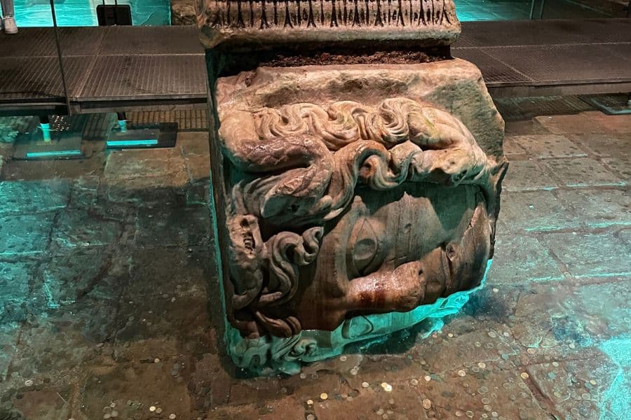 Medusa Head Bases